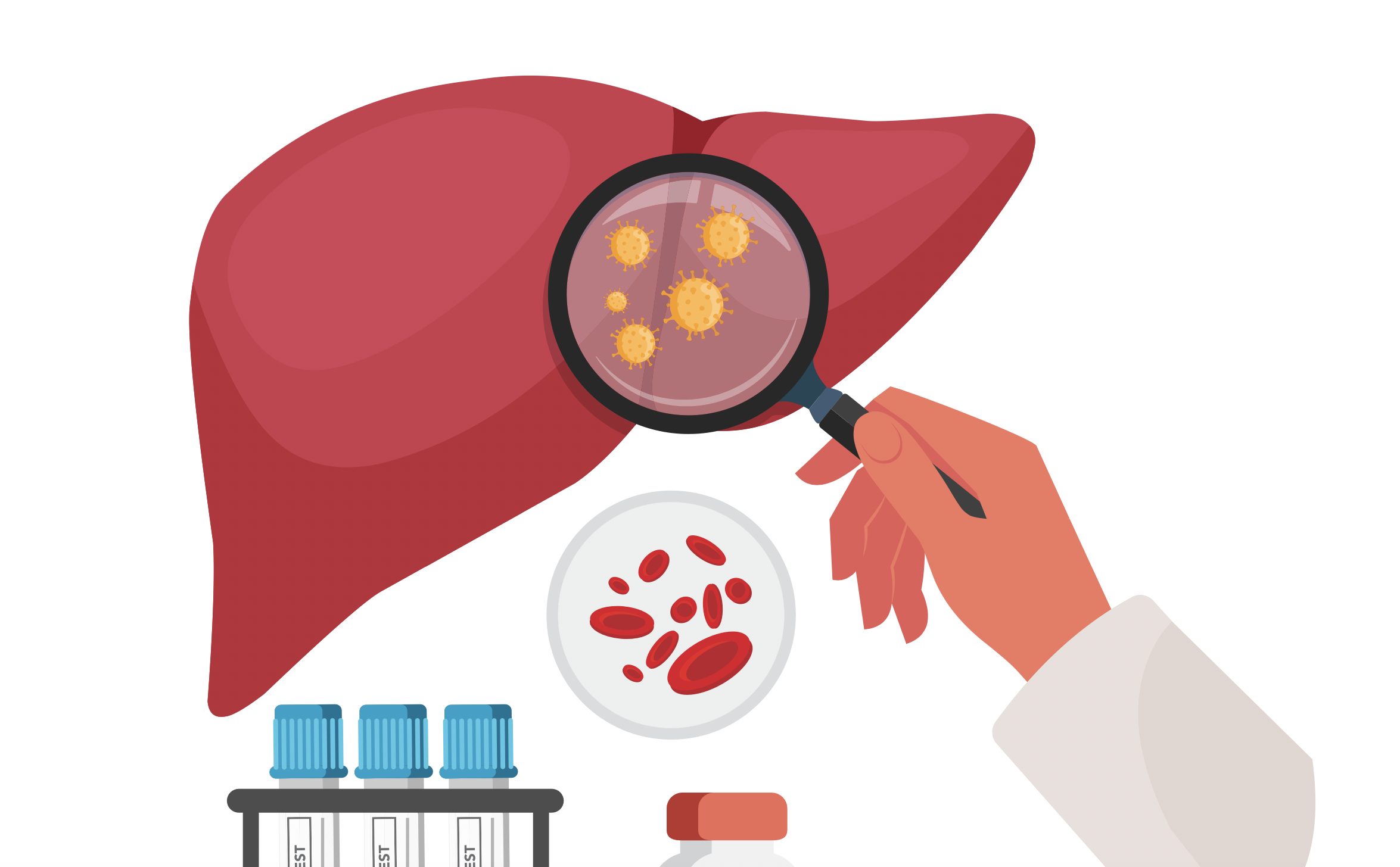 9 curiosidades alrededor de la hepatitis